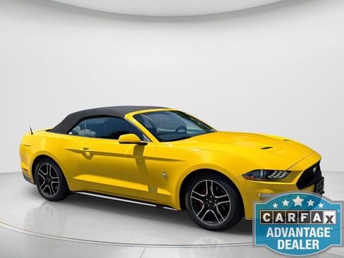 Used 2018 Ford Mustang Premium w/ Equipment Group 201A RWD image 7
