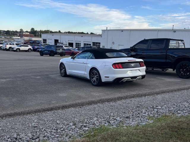 Used 2017 Ford Mustang Premium RWD image 4