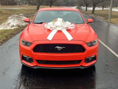 Used 2015 Ford Mustang Premium image 2