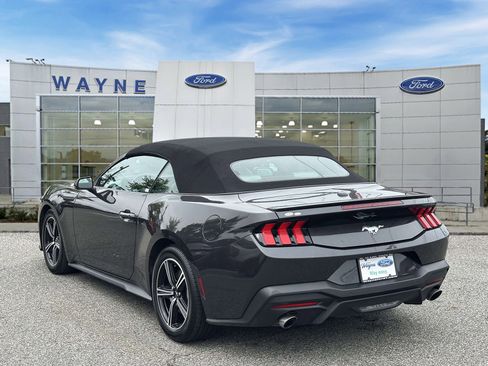 Used 2024 Ford Mustang Premium RWD image 4