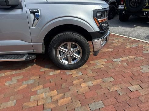 Used 2025 Ford F150 XLT w/ Equipment Group 301A Standard AWD/4WD image 16