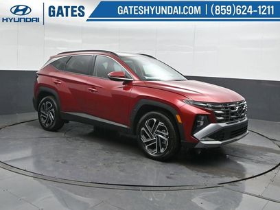 New 2026 Hyundai Tucson Limited