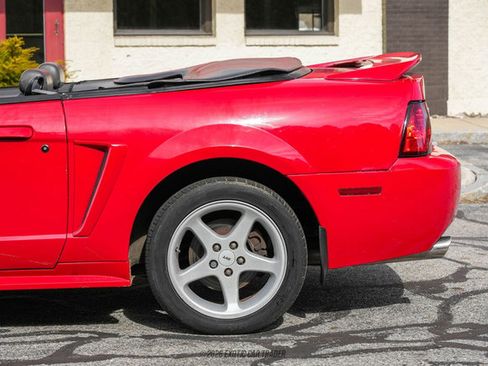 Used 1999 Ford Mustang Cobra RWD image 5