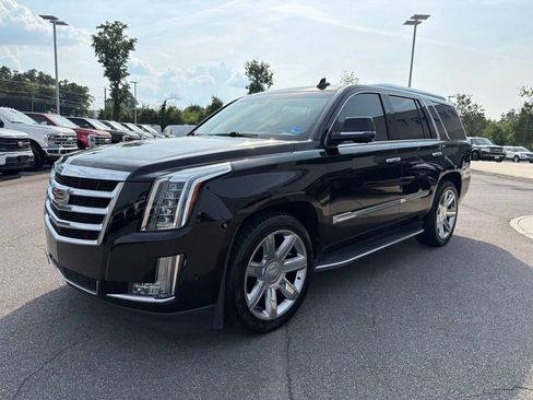 Used 2019 Cadillac Escalade Luxury AWD/4WD image 8