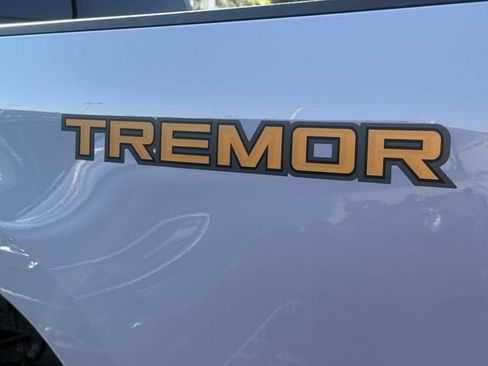 Used 2024 Ford F250 Platinum w/ Tremor Off-Road Package AWD/4WD image 7