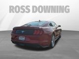 Used 2021 Ford Mustang Premium w/ Equipment Group 201A image 4