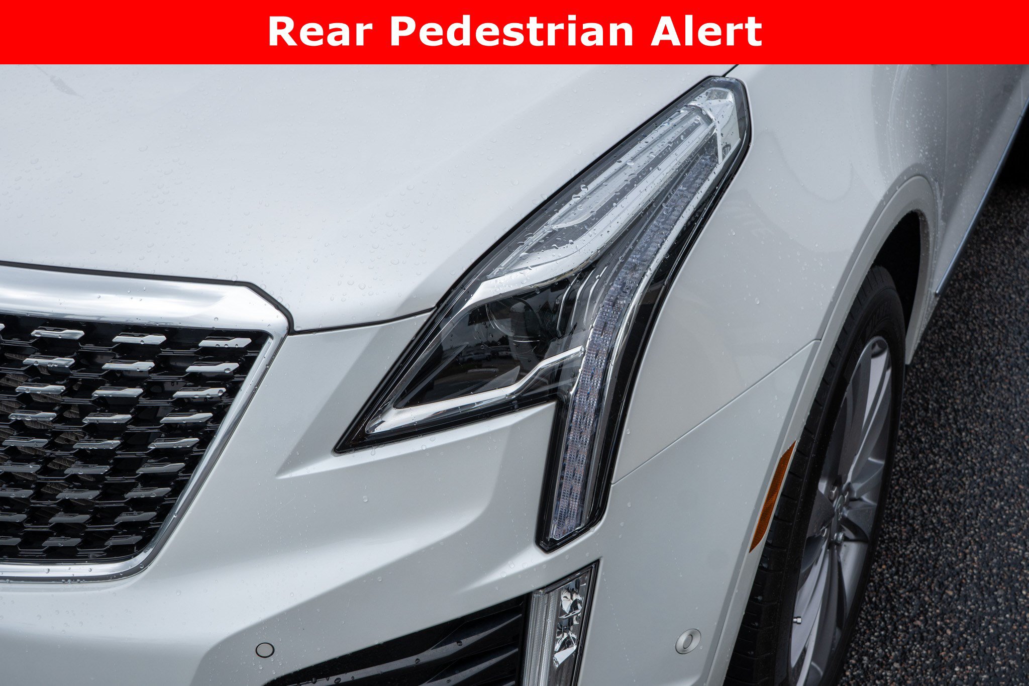 Used 2024 Cadillac XT5 Premium Luxury w/ Platinum Package FWD image 9