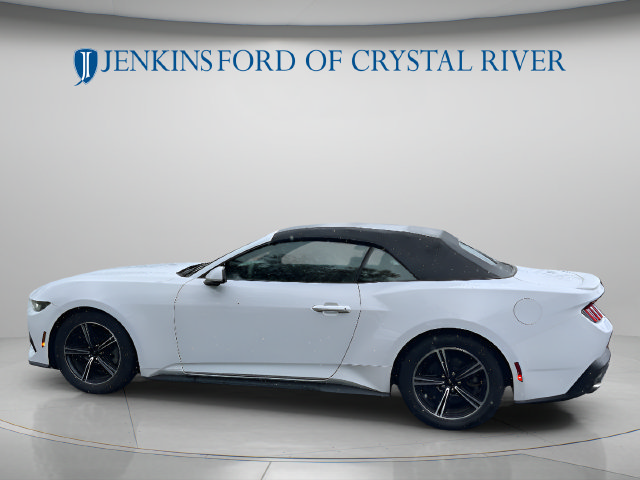 Used 2024 Ford Mustang Premium RWD image 10