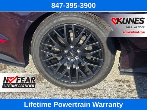 Used 2019 Ford Mustang GT Premium w/ GT Performance Package image 10