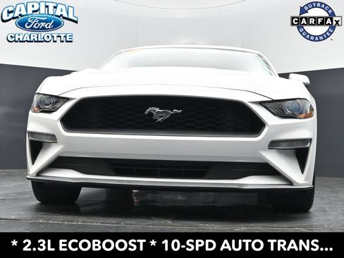 Used 2019 Ford Mustang Coupe RWD image 18