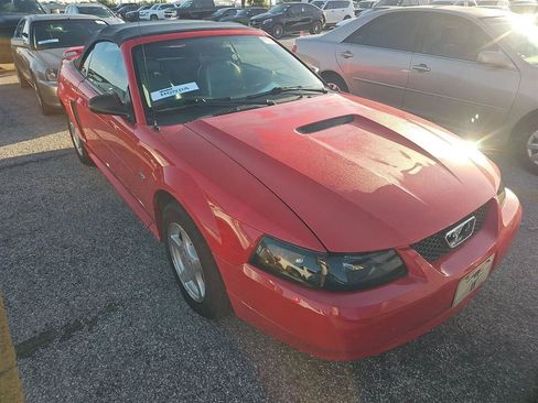 Used 2002 Ford Mustang Convertible RWD image 3
