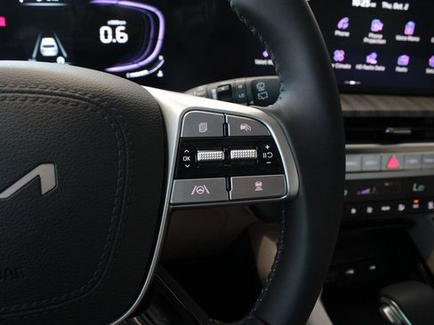 New 2025 Kia Telluride EX image 28