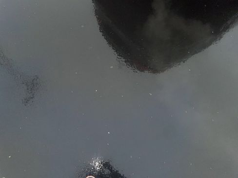 Used 2015 Ford Focus SE w/ SE Ecoboost Package image 5