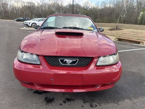 Used 2004 Ford Mustang GT image 3