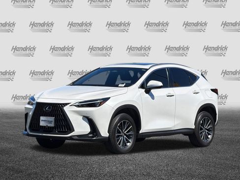 Used 2024 Lexus NX 350h AWD image 9