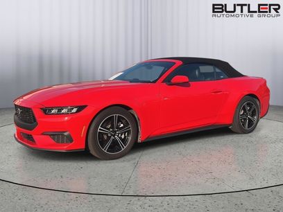 Used 2025 Ford Mustang Premium