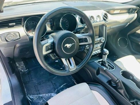 Used 2015 Ford Mustang 50 Years RWD image 8