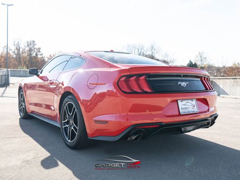 Used 2020 Ford Mustang Premium image 5
