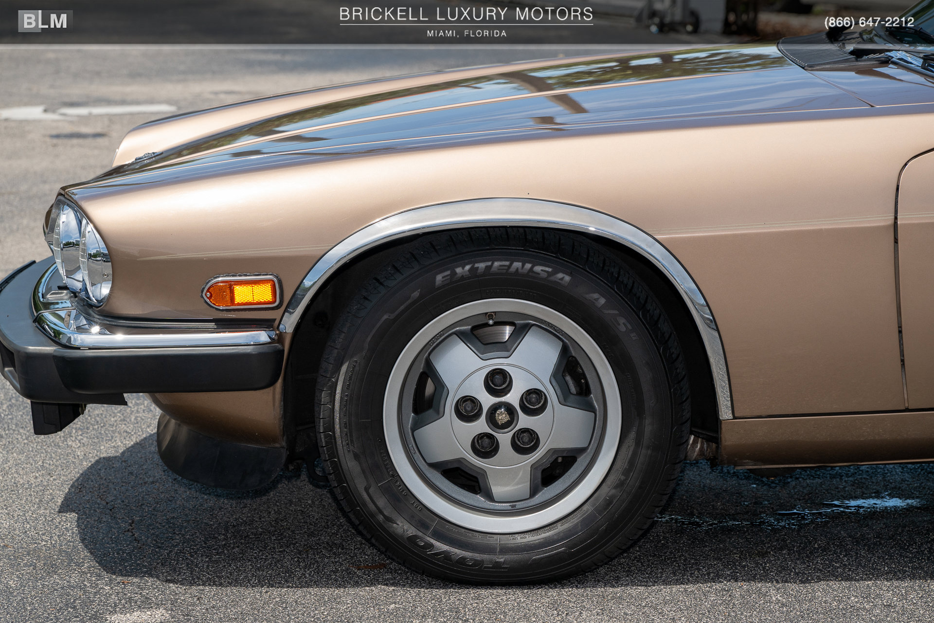 Used 1987 Jaguar XJS V12 Coupe RWD image 39