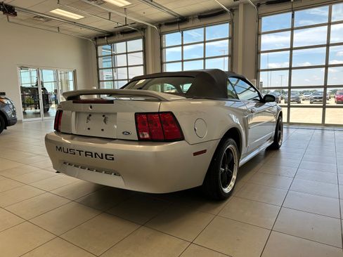 Used 2001 Ford Mustang Premium RWD image 5