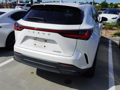 Used 2024 Lexus NX 250 FWD image 5
