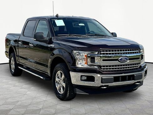 Used 2019 Ford F150 XLT w/ Equipment Group 302A Luxury AWD/4WD image 3