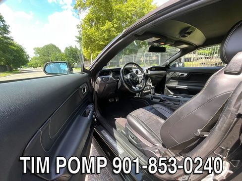 Used 2019 Ford Mustang GT Premium w/ Equipment Group 401A RWD image 8