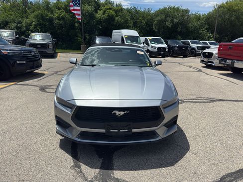 Used 2025 Ford Mustang Premium RWD image 2