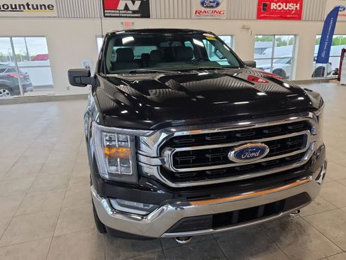 Used 2021 Ford F150 XLT w/ Equipment Group 302A High AWD/4WD image 4
