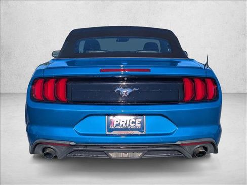 Used 2019 Ford Mustang Premium w/ Equipment Group 201A RWD image 7