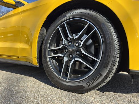 Used 2018 Ford Mustang Premium w/ Equipment Group 201A image 9