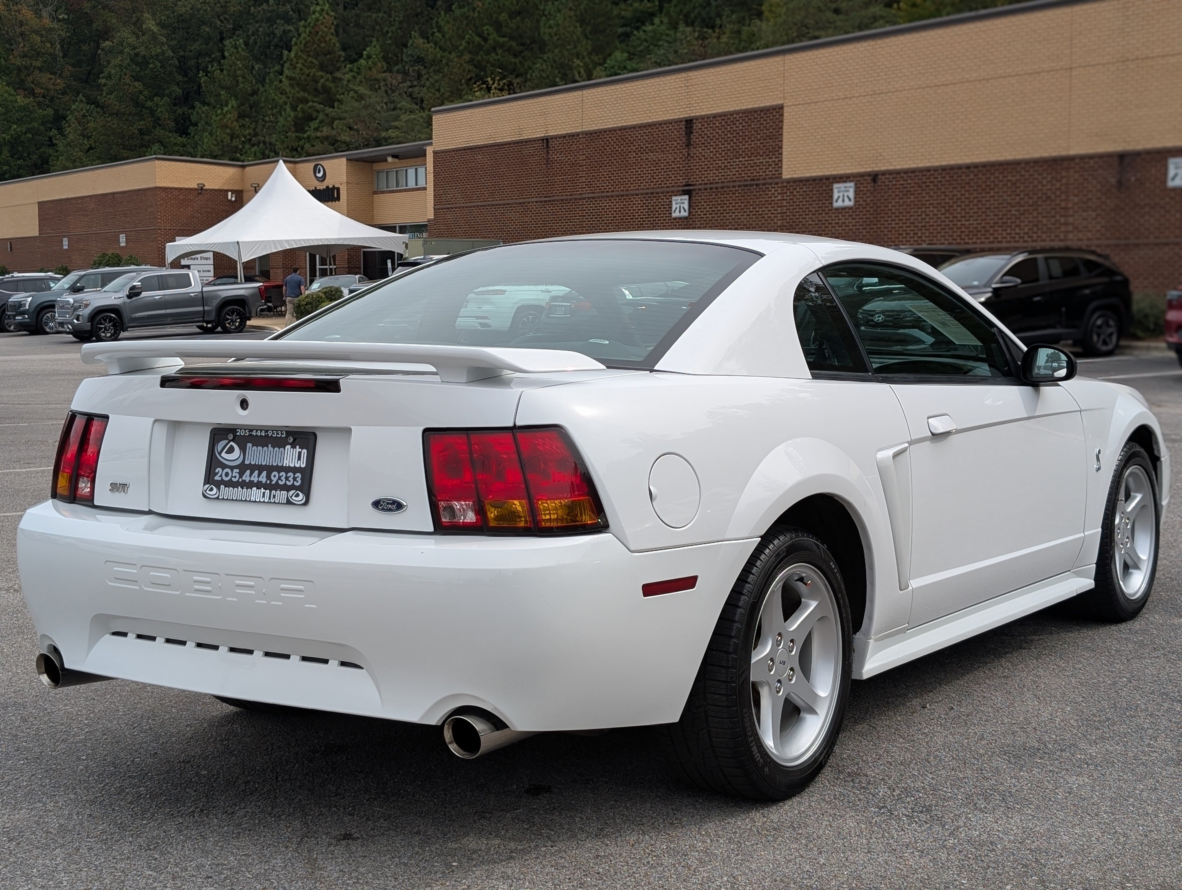 Used 2001 Ford Mustang Cobra RWD image 8