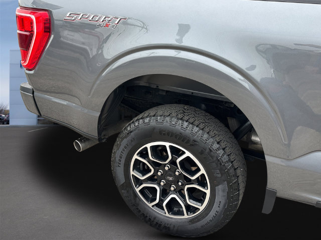 Used 2023 Ford F150 XLT w/ Equipment Group 302A High AWD/4WD image 6