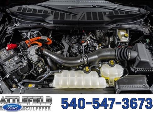 New 2025 Ford F150 XLT w/ Equipment Group 302A MID image 24