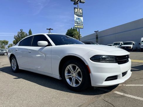 Used 2019 Dodge Charger SXT image 3