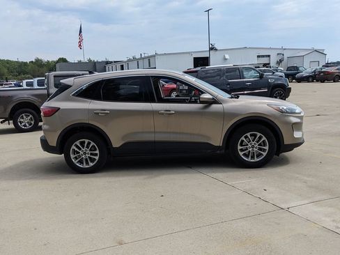 Used 2020 Ford Escape SE AWD/4WD image 2