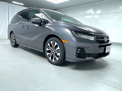New 2026 Honda Odyssey Elite