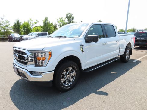 Used 2021 Ford F150 XLT w/ Equipment Group 302A High AWD/4WD image 3