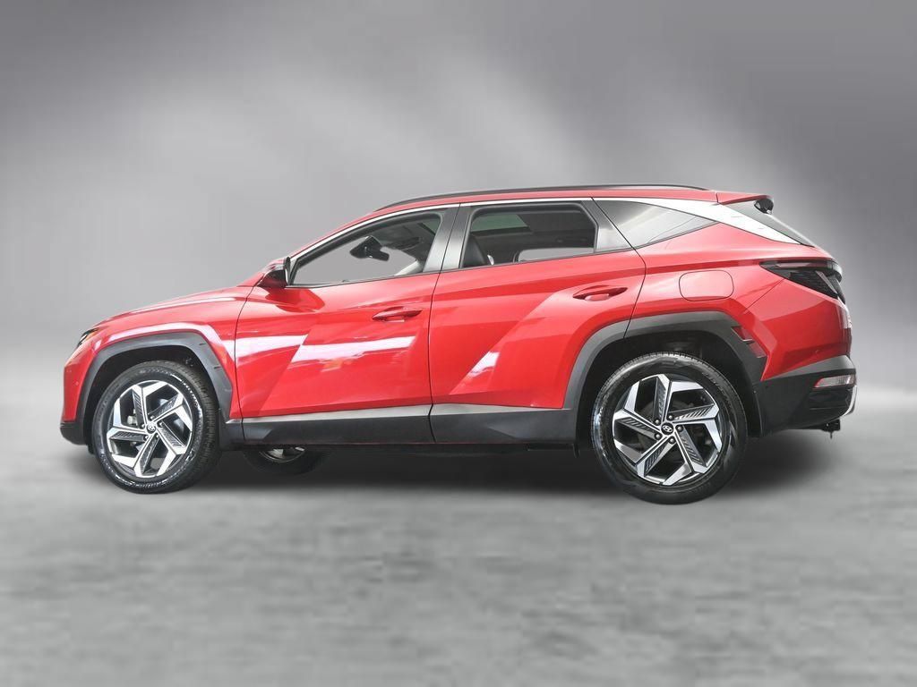 Used 2023 Hyundai Tucson Limited w/ Cargo Package AWD/4WD image 66