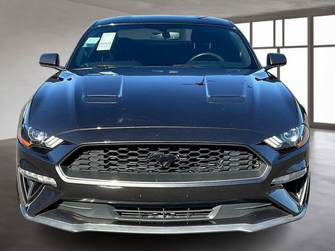Used 2019 Ford Mustang Coupe w/ Equipment Group 101A image 2