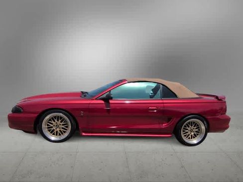 Used 1998 Ford Mustang Cobra RWD image 5