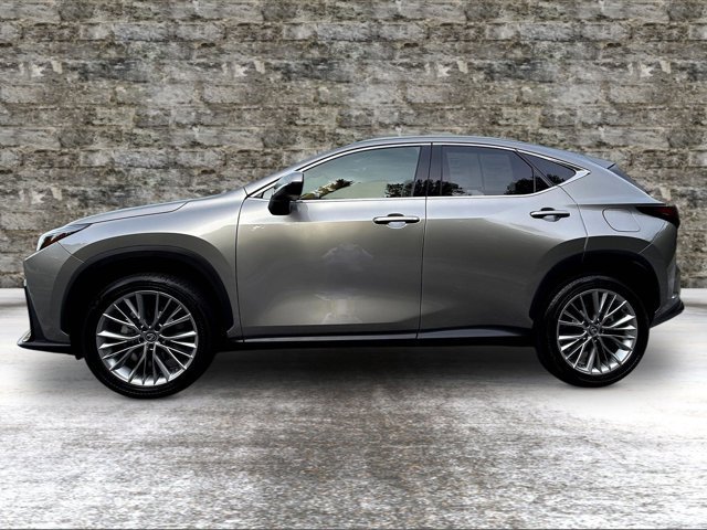 Certified 2026 Lexus NX 350 AWD w/ Accessory Package (Z1) image 4