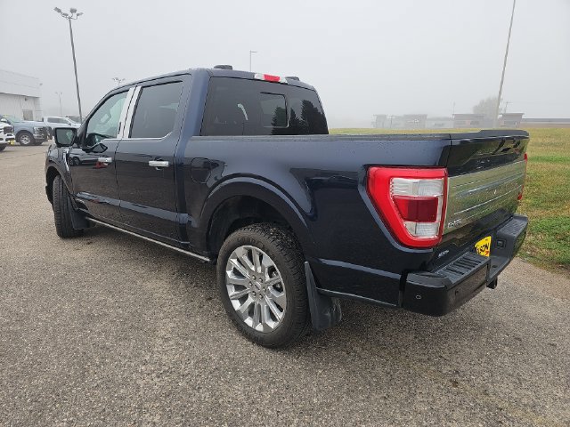 Used 2023 Ford F150 Limited AWD/4WD image 3
