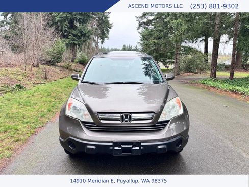 Used 2009 Honda CR-V EX-L image 8