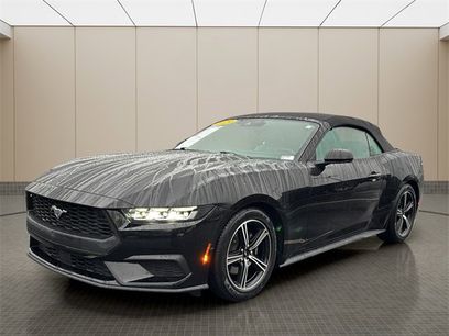 Used 2024 Ford Mustang Premium