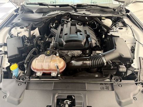 Used 2019 Ford Mustang Premium image 7