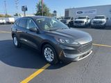 Used 2020 Ford Escape SE image 3