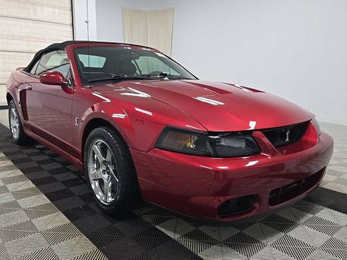 Used 2003 Ford Mustang Cobra RWD image 1