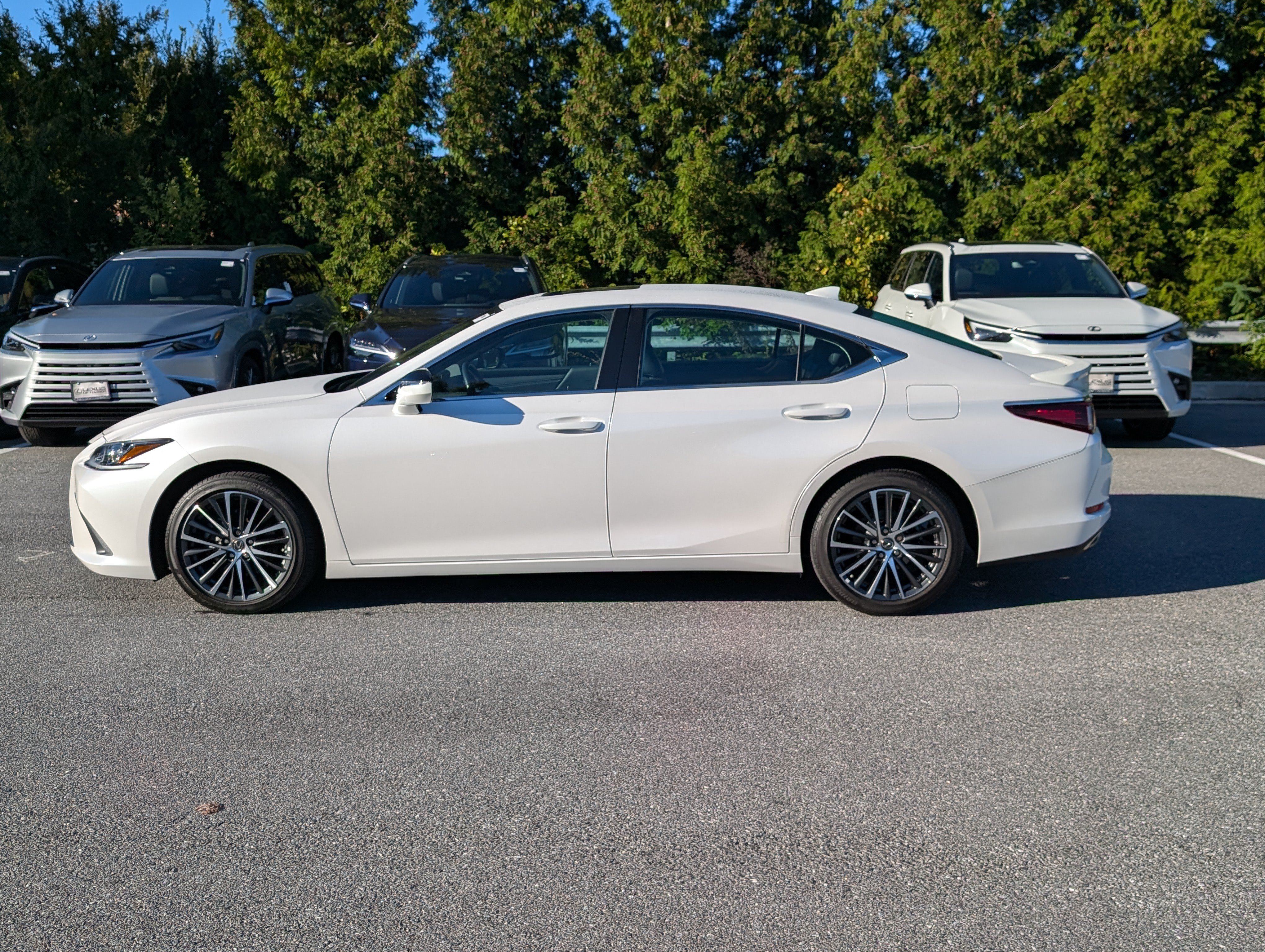 Used 2025 Lexus ES 350 w/ Premium Package FWD image 6