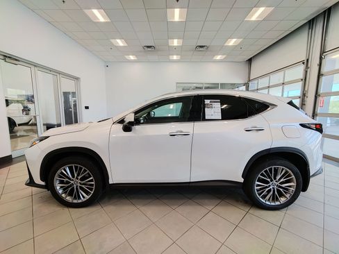 Used 2022 Lexus NX 350h AWD w/ Vision Package image 6